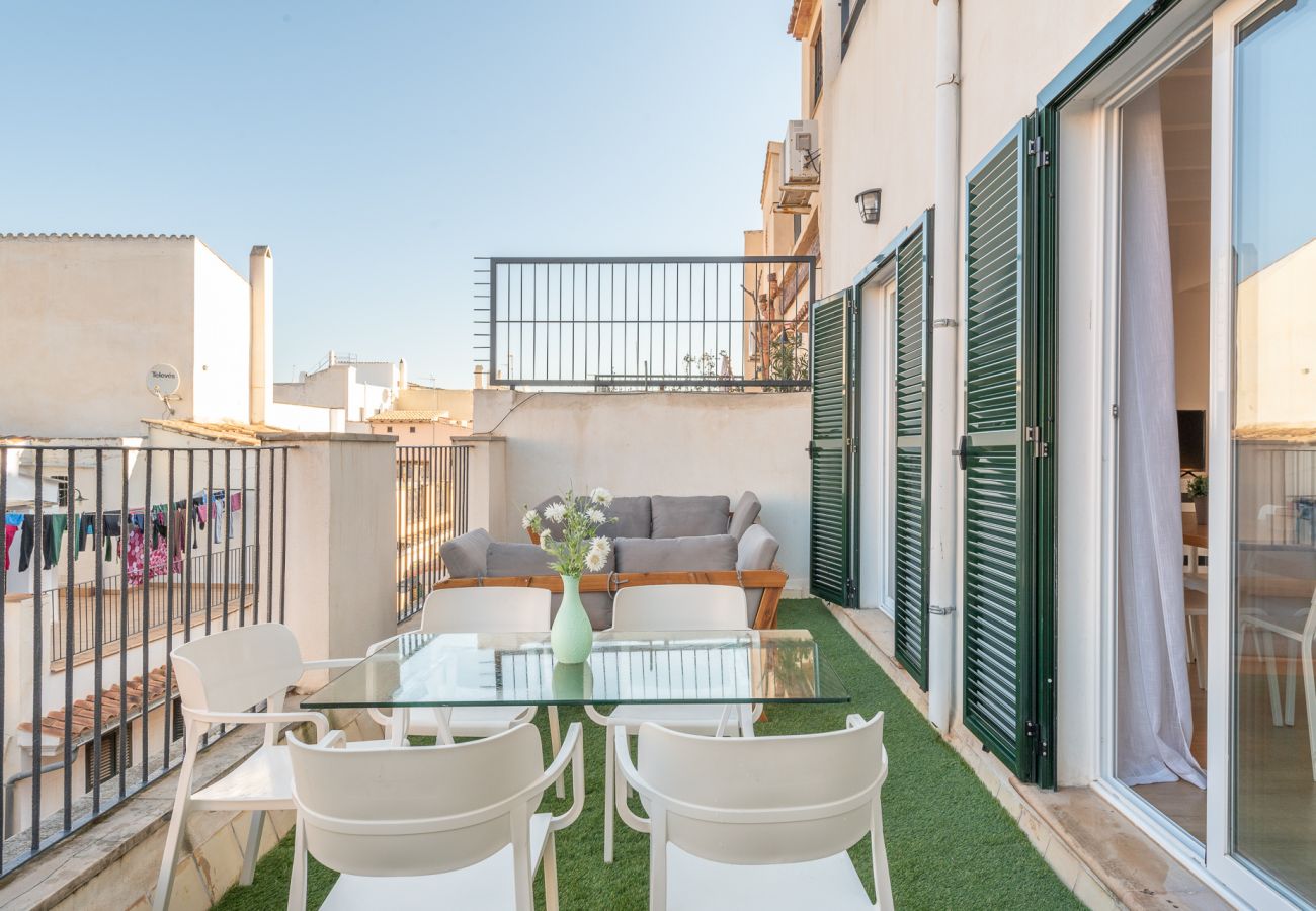 Apartment in Palma de Mallorca -  HOLIDAY PALMA TERRACE APARTMENT