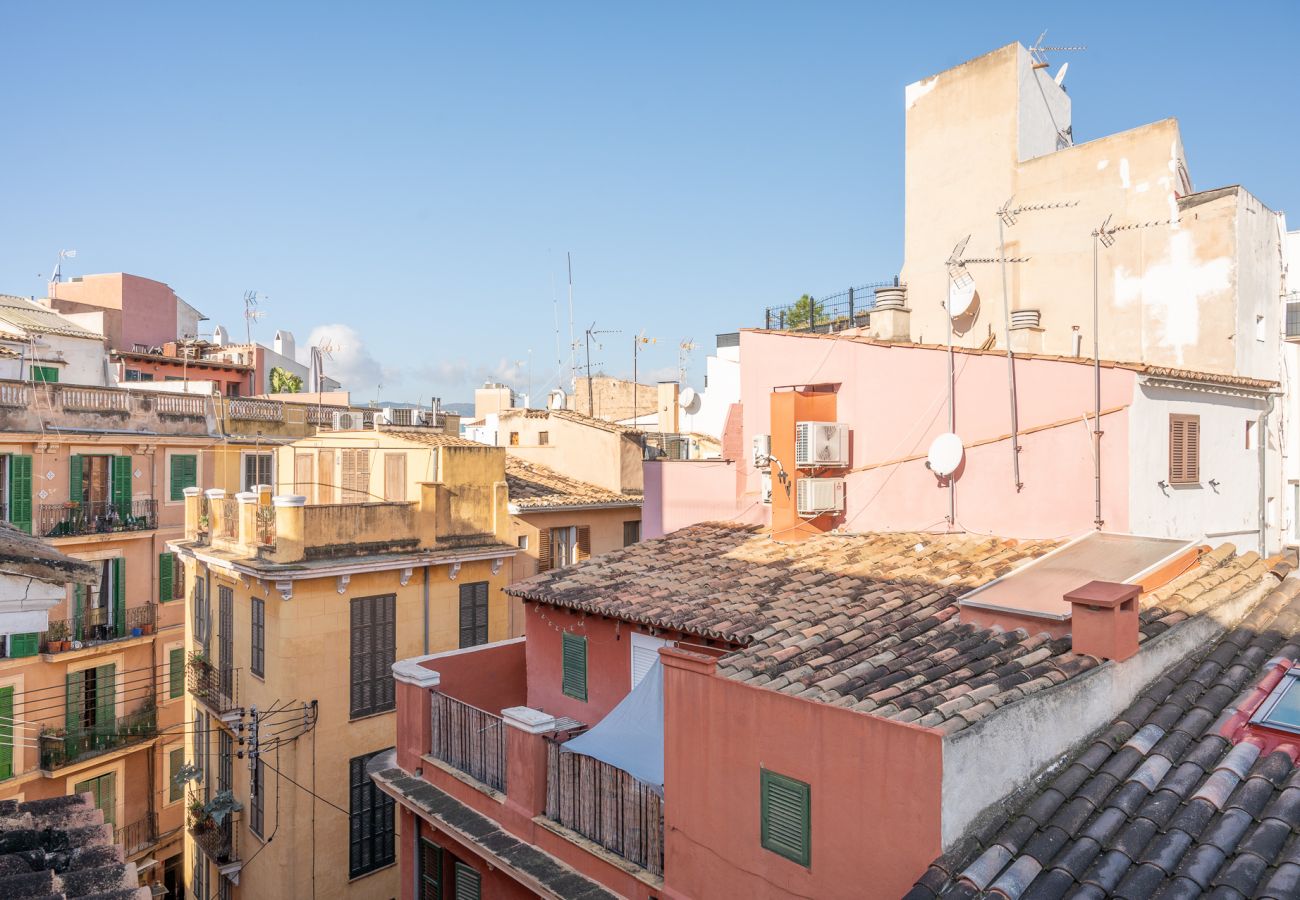Apartment in Palma de Mallorca -  HOLIDAY PALMA TERRACE APARTMENT
