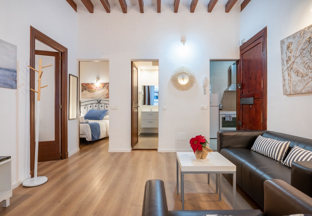 Apartment in Palma de Mallorca - Holiday 1 Apartment