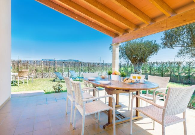 Country house in Sa Pobla - YourHouse Son Gallina Villa with private pool