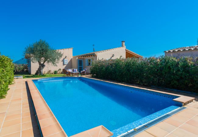 Country house in Sa Pobla - YourHouse Son Gallina Villa with private pool