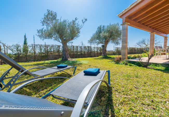 Country house in Sa Pobla - YourHouse Son Gallina Villa with private pool Country house in Sa Pobla - YourHouse Son Gallina Villa with private pool