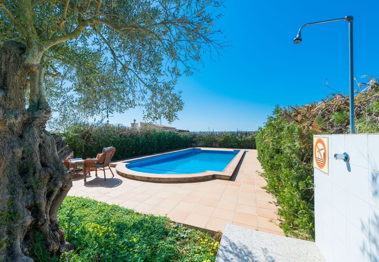Country house in Sa Pobla - YourHouse Son Gallina Villa with private pool