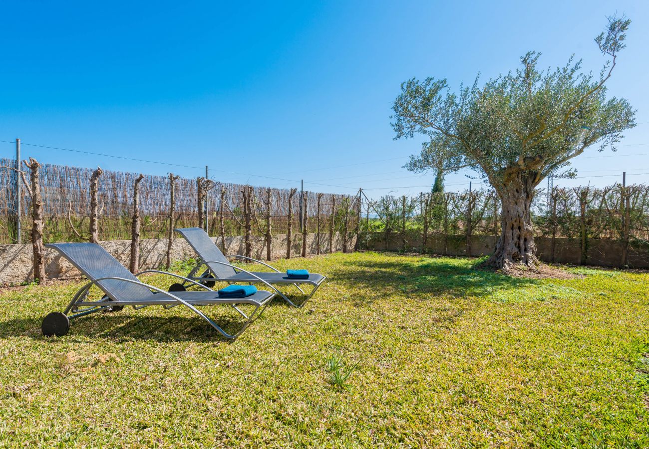 Country house in Sa Pobla - YourHouse Son Gallina Villa with private pool