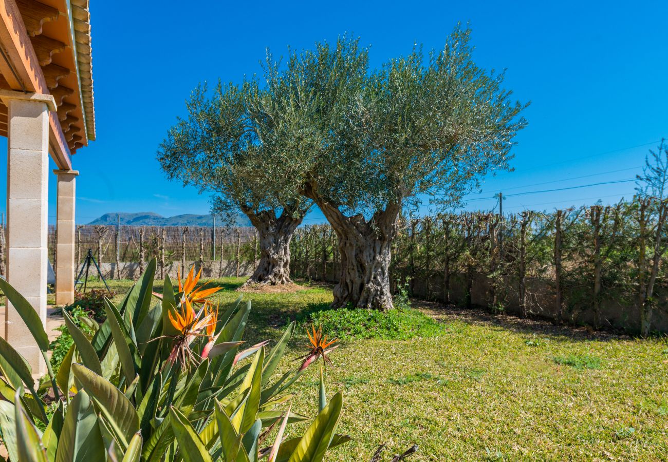 Country house in Sa Pobla - YourHouse Son Gallina Villa with private pool
