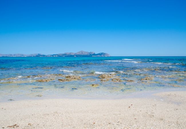 Apartment in Can Picafort - YourHouse Ca Na Ferrera, beach apartment in Can Picafort Apartment in Can Picafort - YourHouse Ca Na Ferrera, beach apartment in Can Picafort