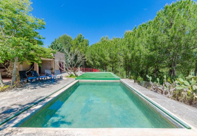 House in Petra - YourHouse Sa Cova, quiet finca surrounded by nature