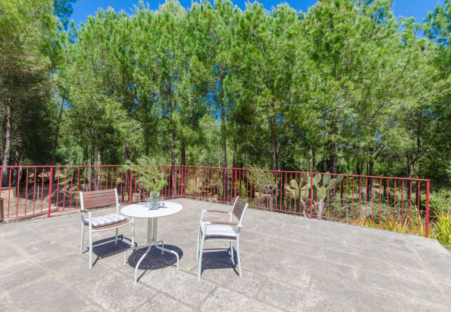 House in Petra - YourHouse Sa Cova, quiet finca surrounded by nature House in Petra - YourHouse Sa Cova, quiet finca surrounded by nature