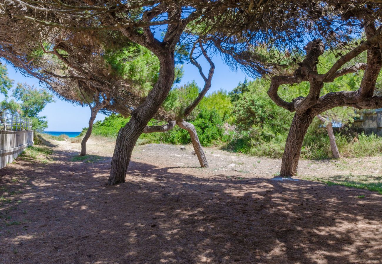 House in Muro - YourHouse Villa Canta, beach house, ideal for families