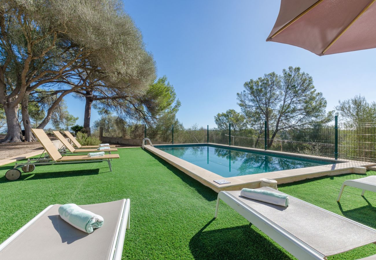 House in Maria de la salut - YourHouse Llampi, wonderful rustic house in the midst of nature
