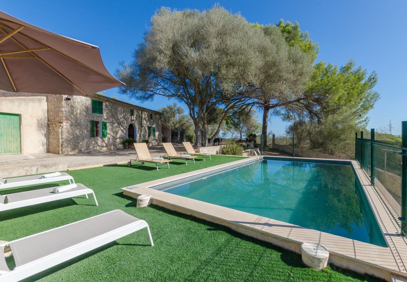 House in Maria de la salut - YourHouse Llampi, wonderful rustic house in the midst of nature