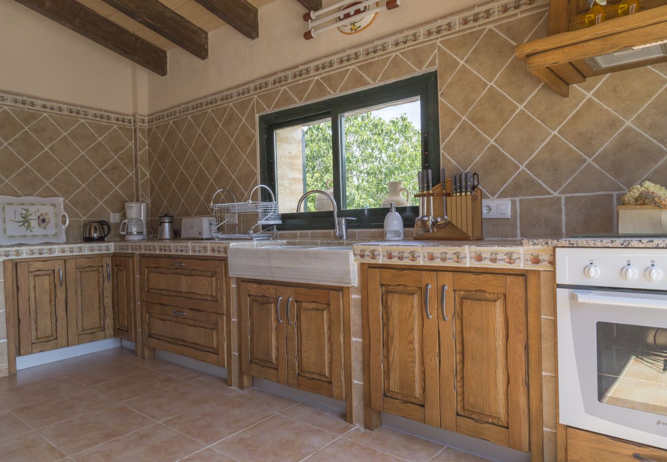 House in Muro - YourHouse Es Moyà des Pins, villa with private pool and garden in Majorca North