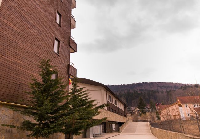 Apartment in Sinaia - Castle Suite Apartment in Sinaia - Castle Suite