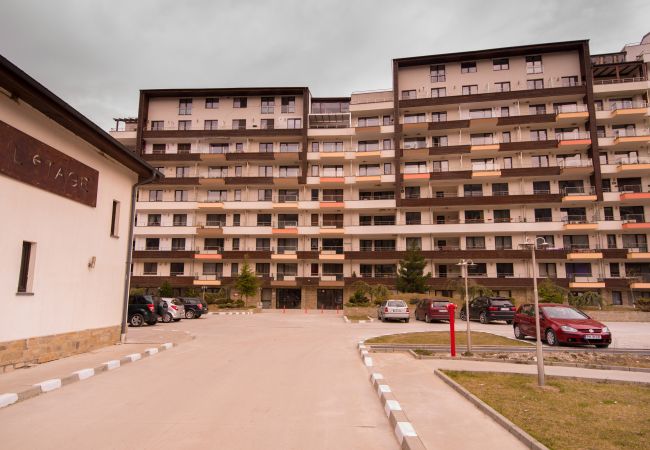 Apartment in Sinaia - Castle Suite Apartment in Sinaia - Castle Suite