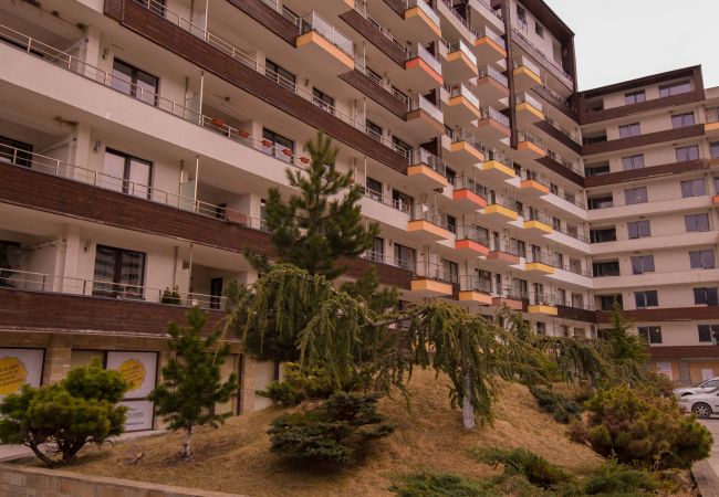 Apartment in Sinaia - Castle Suite Apartment in Sinaia - Castle Suite