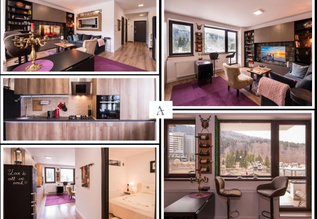 Apartment in Sinaia - Castle Suite Apartment in Sinaia - Castle Suite