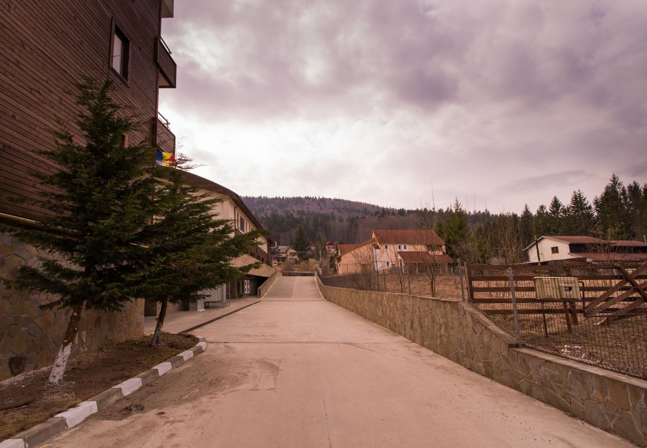 Apartment in Sinaia - Castle Suite