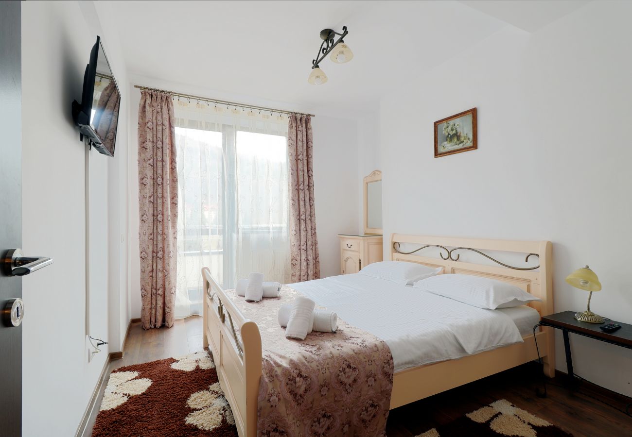 Apartment in Sinaia - Apartment Sofia with mountain view and terrace 