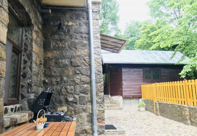 Apartment in Sinaia - Apartment Carol private yard with barbeque and parking Apartment in Sinaia - Apartment Carol private yard with barbeque and parking