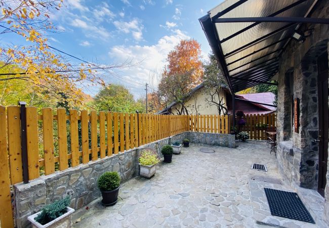  in Sinaia - Apartment Carol private yard with barbeque and parking