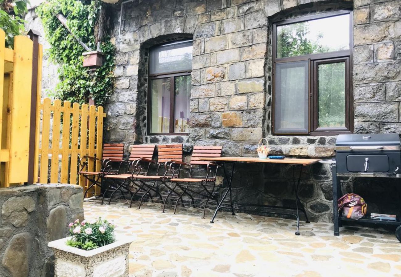 Apartment in Sinaia - Apartment Carol private yard with barbeque and parking