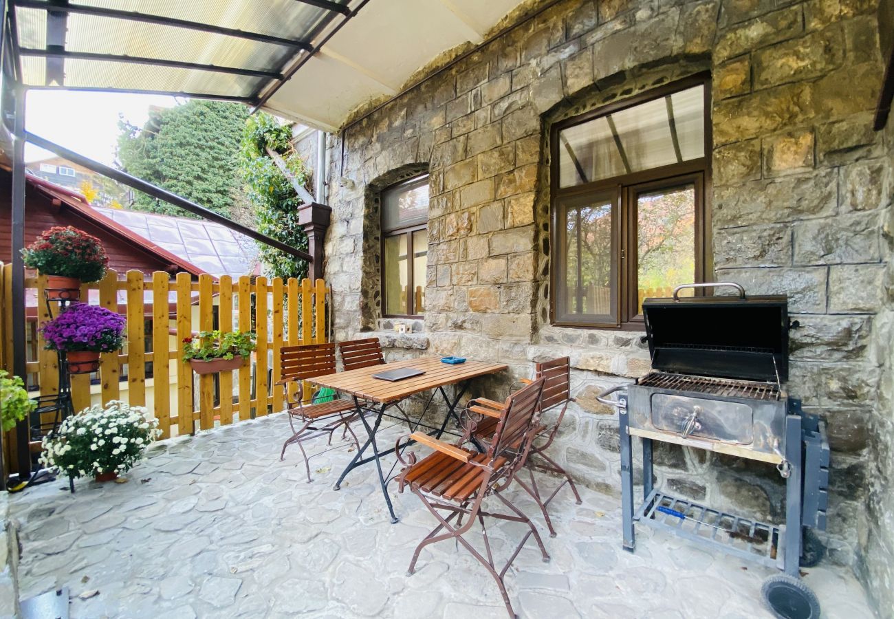 Apartment in Sinaia - Apartment Carol private yard with barbeque and parking