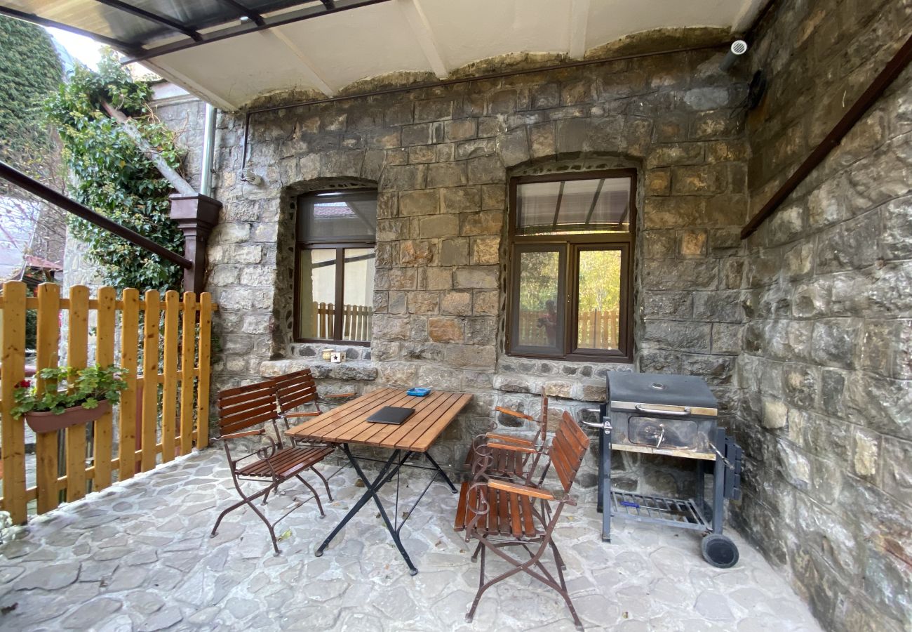 Apartment in Sinaia - Apartment Carol private yard with barbeque and parking