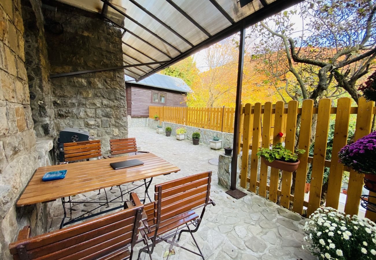 Apartment in Sinaia - Apartment Carol private yard with barbeque and parking