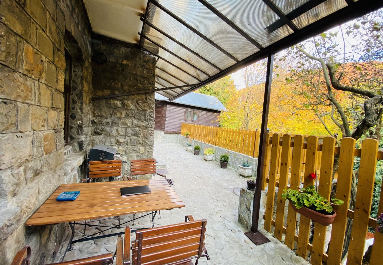 Apartment in Sinaia - Apartment Carol private yard with barbeque and parking