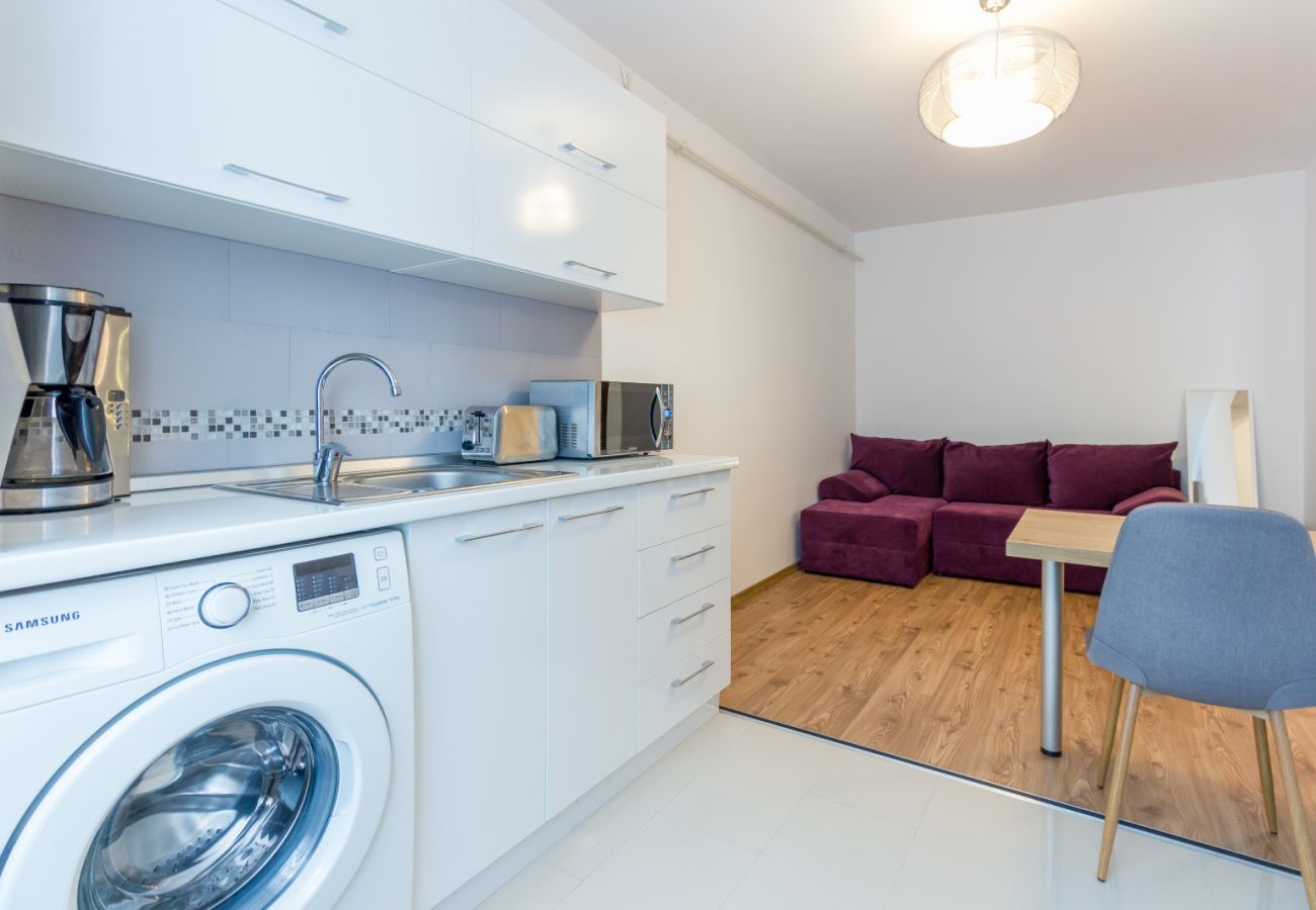 Apartment in Cluj Napoca - Apartment Venus One Bedroom close to Iulius Mall 