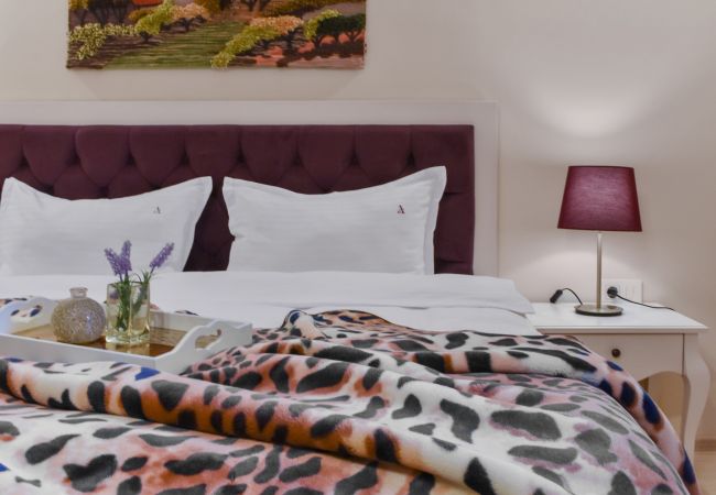 Studio in Brasov - RentForComfort Bella Studio  Studio in Brasov - RentForComfort Bella Studio