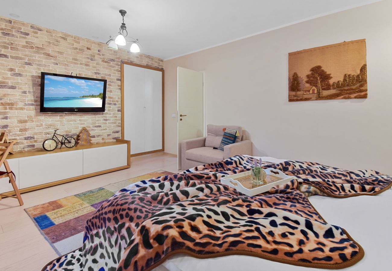 Studio in Brasov - RentForComfort Bella Studio 