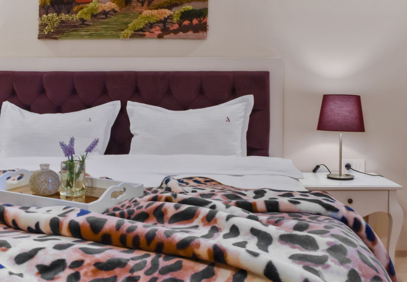 Studio in Brasov - RentForComfort Bella Studio 