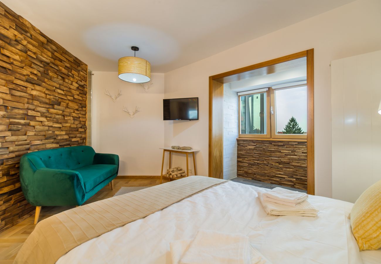 Studio in Brasov - Zen Alpin Studio near train station Brasov