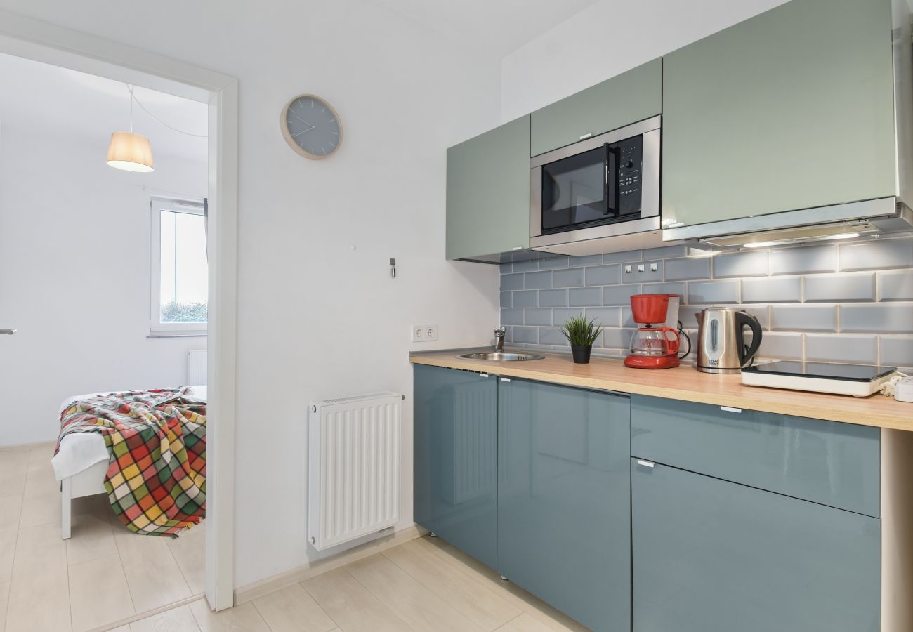 Apartment in Brasov - Blue Apartment near Shopping City Brasov