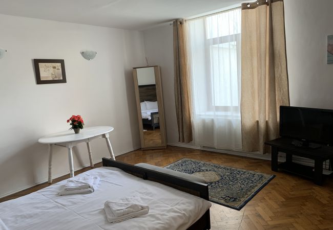 Apartment in Brasov - Apartment Werkstatt Castelului close to the Black Church Brasov