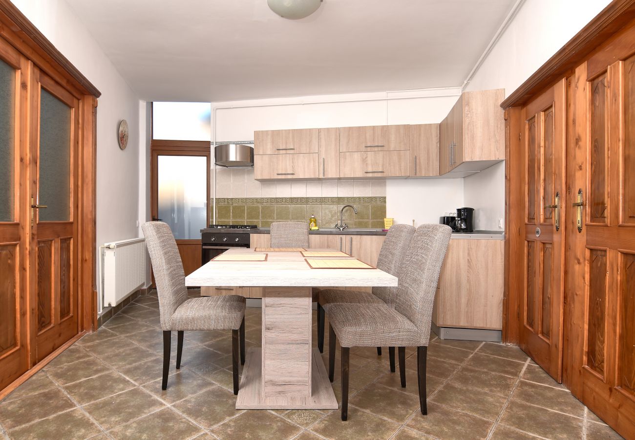 Apartment in Brasov - Apartment Werkstatt Castelului close to the Black Church Brasov