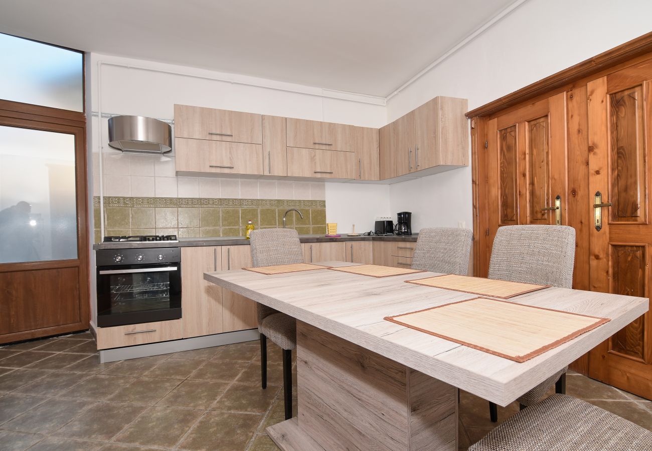 Apartment in Brasov - Apartment Werkstatt Castelului close to the Black Church Brasov