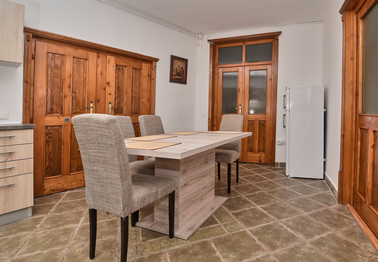 Apartment in Brasov - Apartment Werkstatt Castelului close to the Black Church Brasov