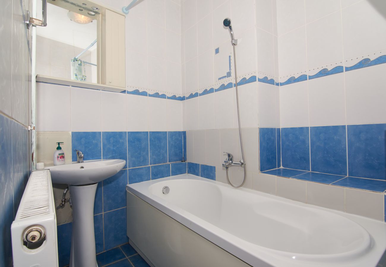 Apartment in Brasov - Apartment Werkstatt Castelului close to the Black Church Brasov