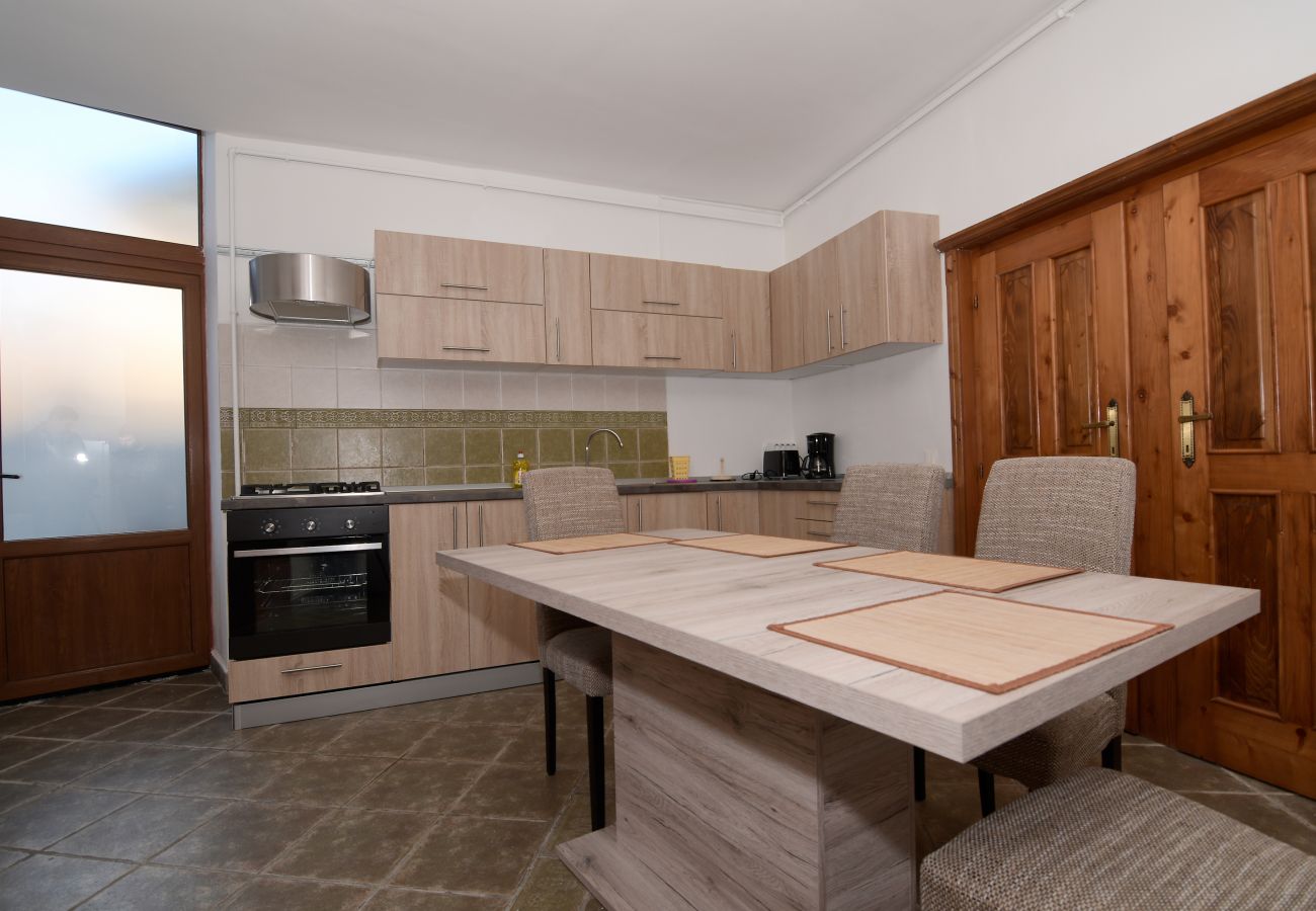 Apartment in Brasov - Apartment Werkstatt Castelului close to the Black Church Brasov