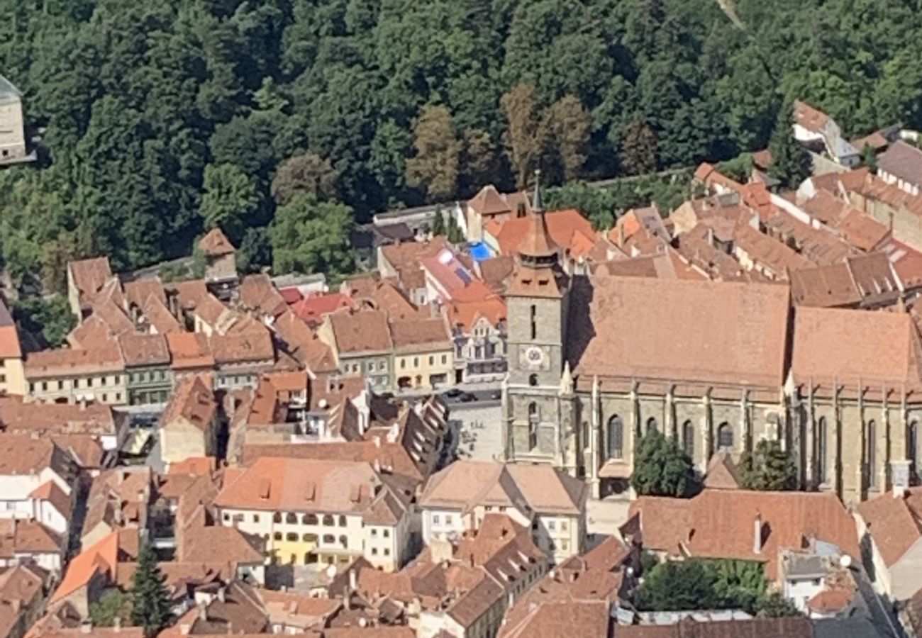 Apartment in Brasov - Apartment Werkstatt Castelului close to the Black Church Brasov