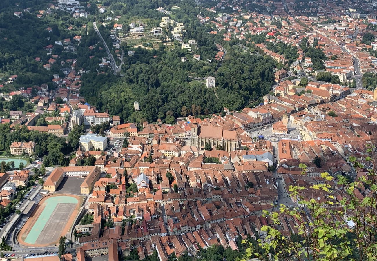 Apartment in Brasov - Apartment Werkstatt Castelului close to the Black Church Brasov