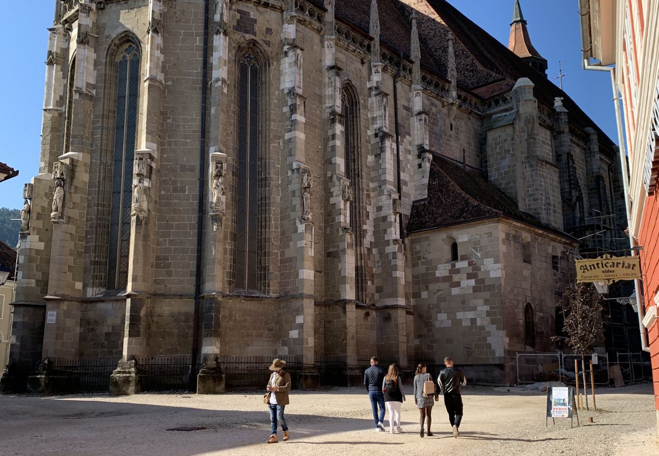 Apartment in Brasov - Apartment Werkstatt Castelului close to the Black Church Brasov
