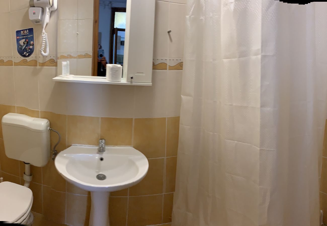 Apartment in Brasov - Apartment Werkstatt Castelului close to the Black Church Brasov