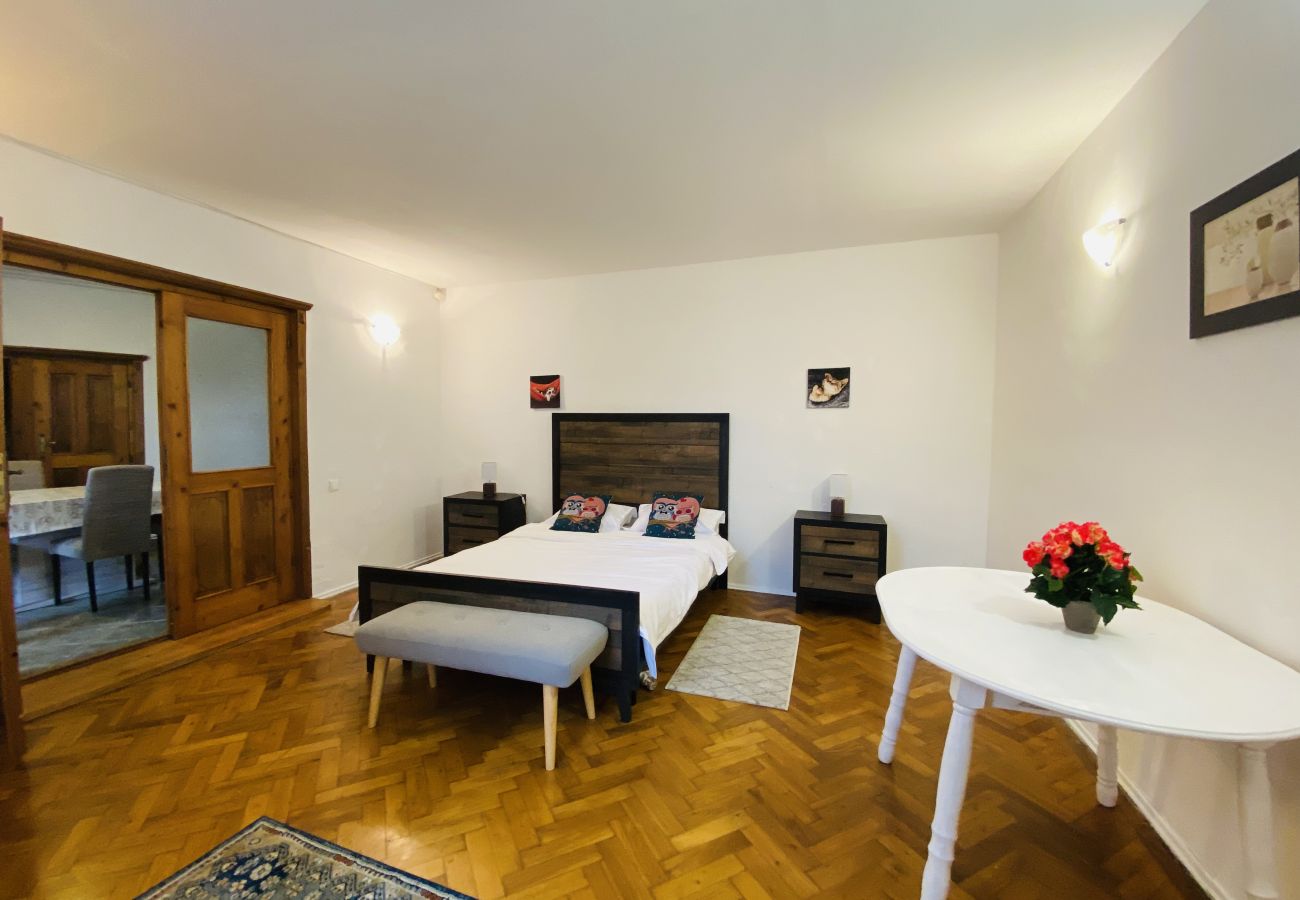 Apartment in Brasov - Apartment Werkstatt Castelului close to the Black Church Brasov