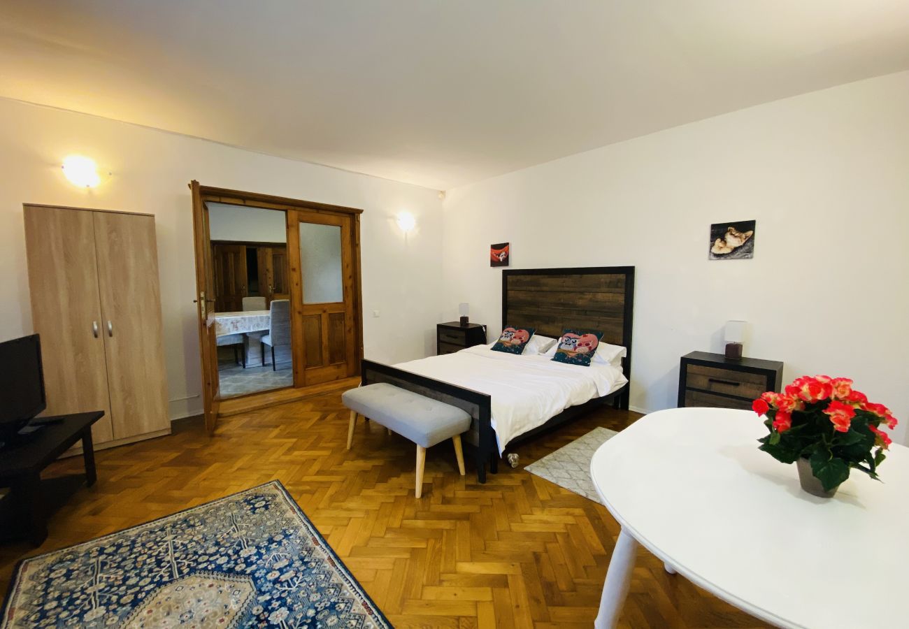 Apartment in Brasov - Apartment Werkstatt Castelului close to the Black Church Brasov
