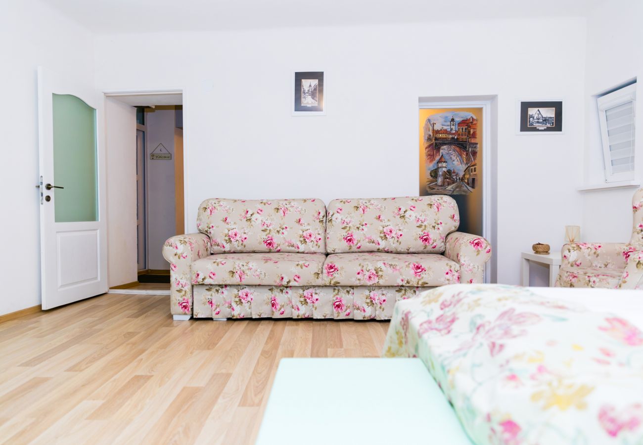 Apartment in Sibiu - Tischler Apartment - Piata Mica Sibiu