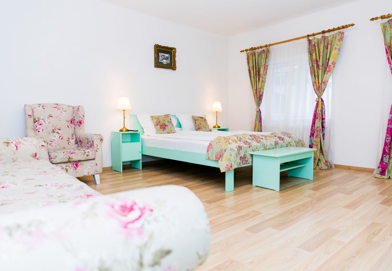 Apartment in Sibiu - Tischler Apartment - Piata Mica Sibiu