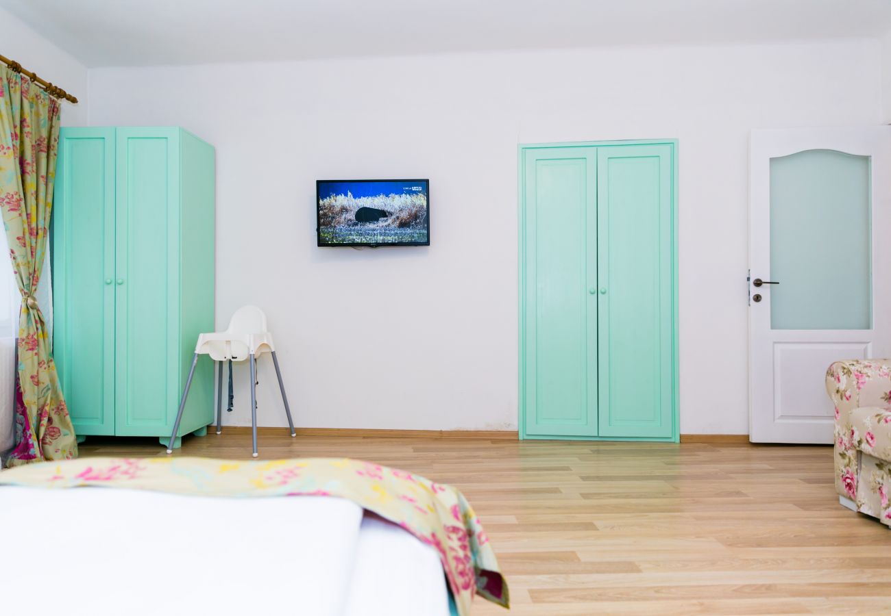 Apartment in Sibiu - Tischler Apartment - Piata Mica Sibiu